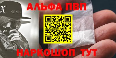 гашик Гатчина