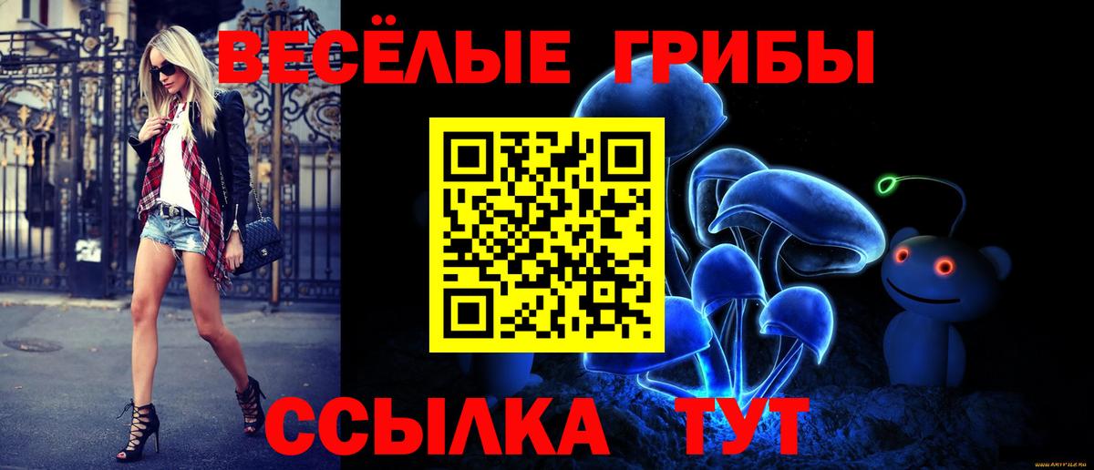 Псилоцибиновые грибы Magic Shrooms  Вход с VPN  продажа наркотиков  Псилоцибиновые грибы прущие грибы  Ртищево 