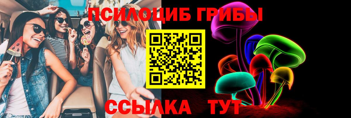 Псилоцибиновые грибы GOLDEN TEACHER Ртищево
